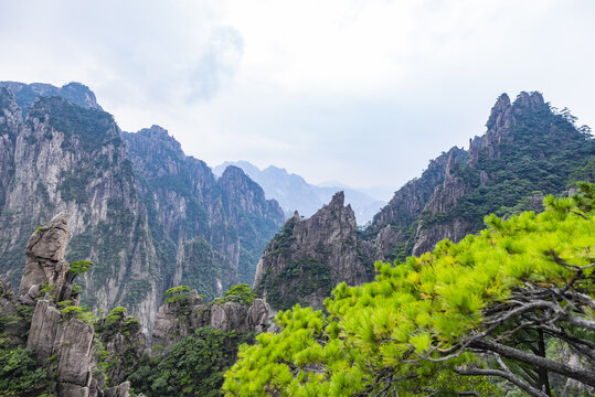 安徽黄山风景区自然风光