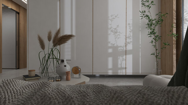 客厅的植物光影效果图