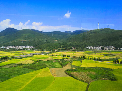 绿色乡村