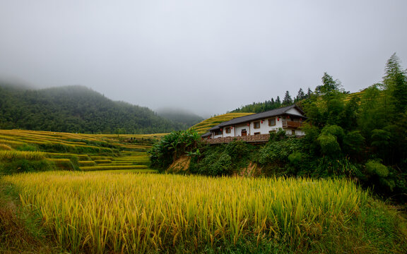 上堡梯田民居