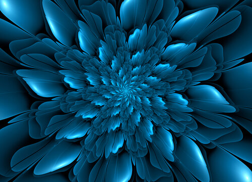 蓝色分形花