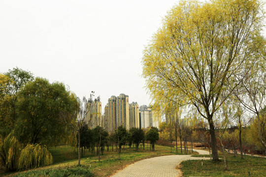 公园景观步道