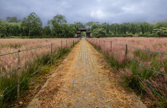 三山岛生态园