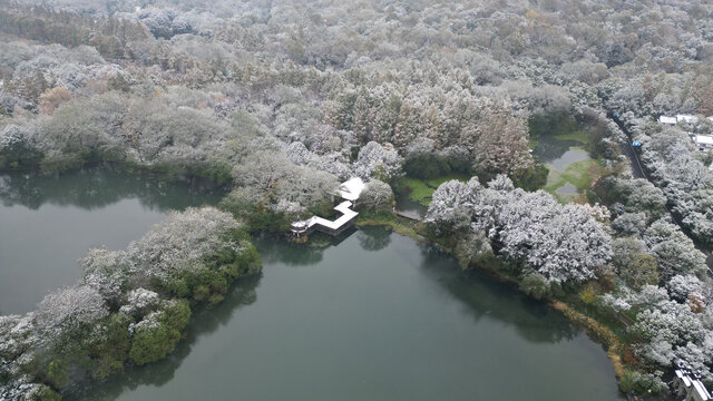 浴鹄湾雪景航拍杭州初雪