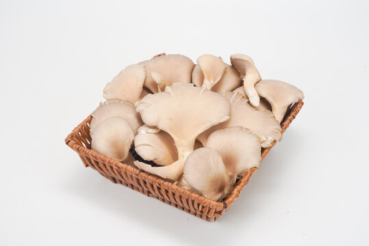 蘑菇秀珍菇