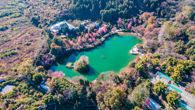 航拍大理蝴蝶泉景区