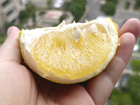 黄皮柚子