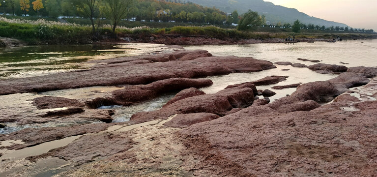 在河床上看河流