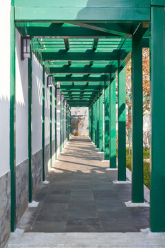 绿色长廊