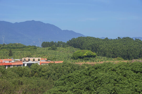 漳州绿林风景