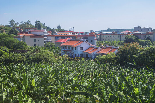漳州天宝香蕉园