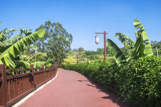 漳州香蕉海生态公园步道景观