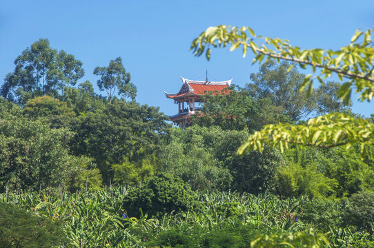 漳州天宝阁掠影