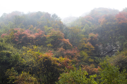 秦岭山