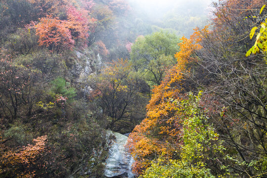 秦岭风光