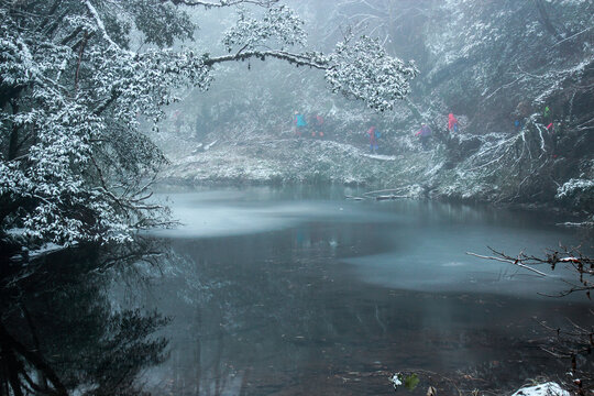 冬季冰雪森林自然景观