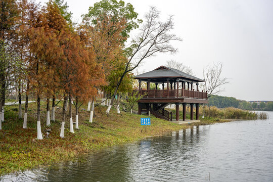 南京上秦淮生态湿地公园