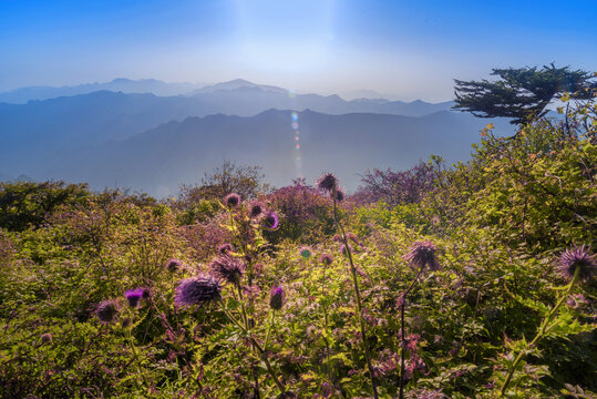 户外风光山顶自然景区露营