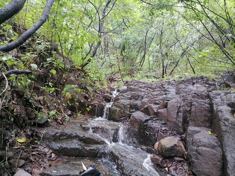 绿树溪水