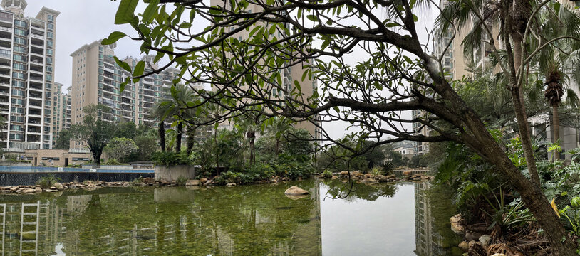 中央花园水池全景