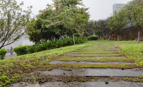 公园潮湿的石板路