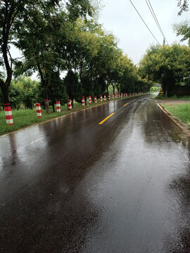 大雨过后