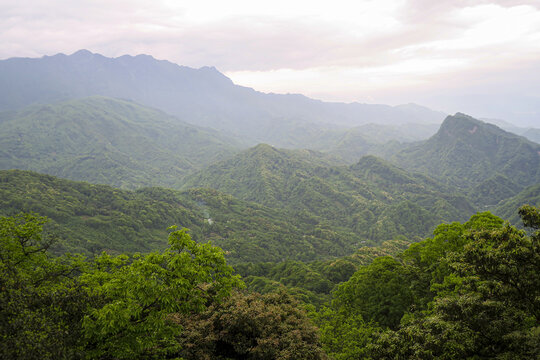 青城山远眺