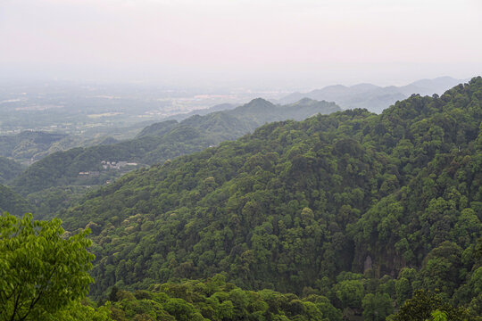 青城山远眺