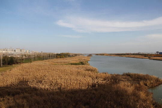 焦作市大沙河湿地公园