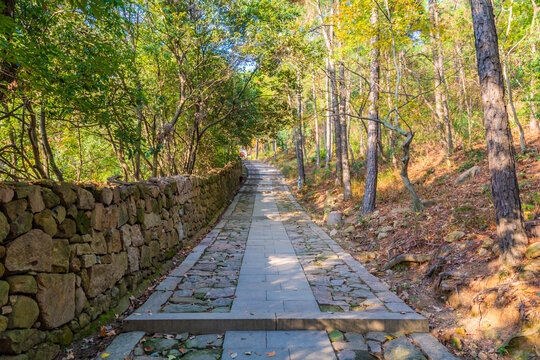 上山的路