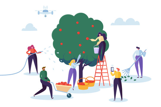科技辅助苹果园种植概念插画