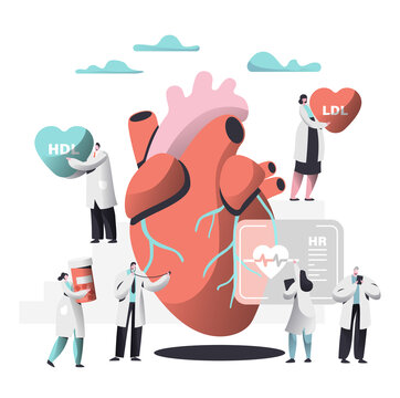 医生检查巨大心脏胆固醇数值插图