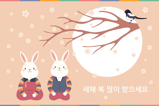 兔子穿韩服正坐在梅花树下 韩国新年贺图