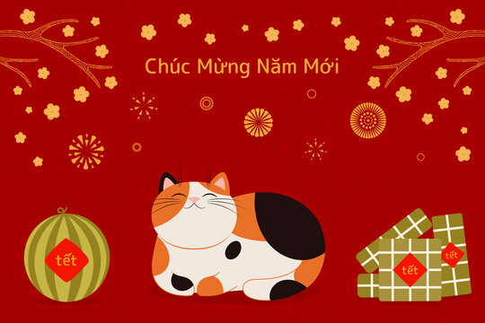 猫咪两侧树下放西瓜与礼品 越南春节贺图
