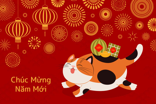 猫咪背着礼品在烟花下奔跑 越南春节贺图