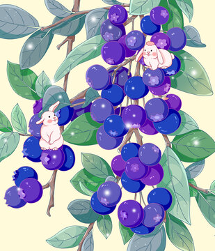 小清新蓝莓