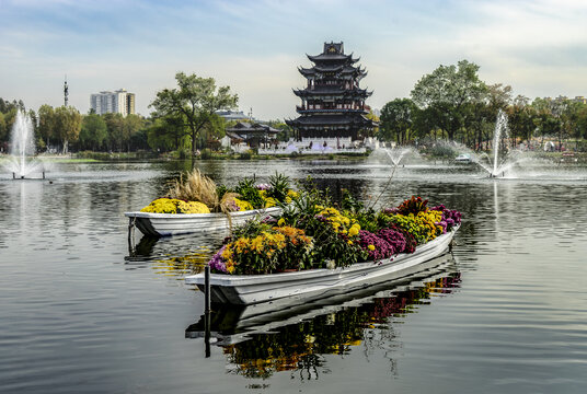 紫阳公园的菊花船