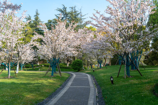 园林风景图