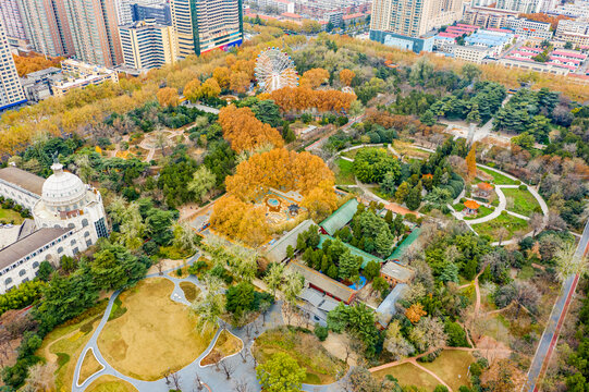 郑州碧沙岗公园黄色绿色树林