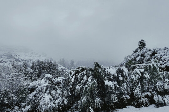 雪