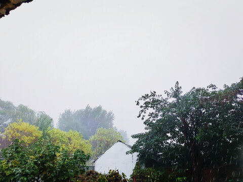 屋檐下听雨