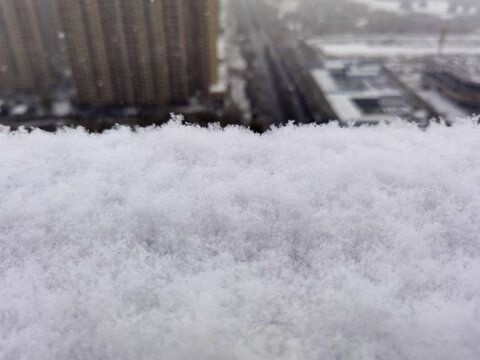 北方的雪