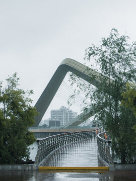 广东省廉江市樱花公园