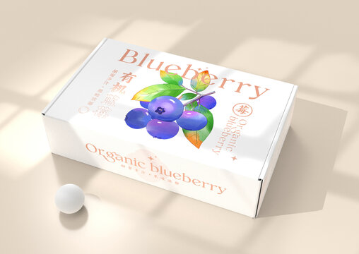 蓝莓插画包装设计