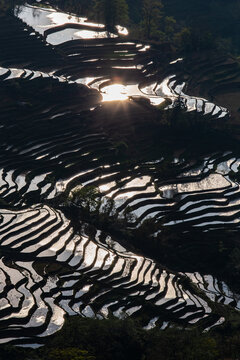 灌水梯田