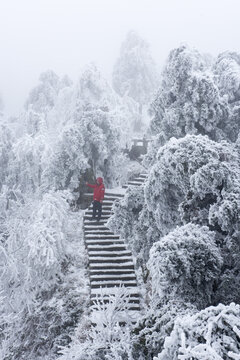 南岳衡山观雾凇