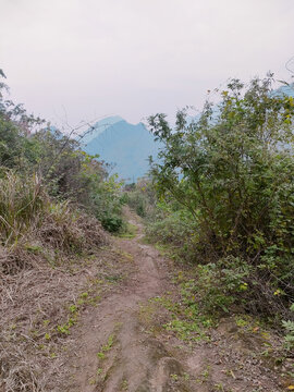 乡间小路