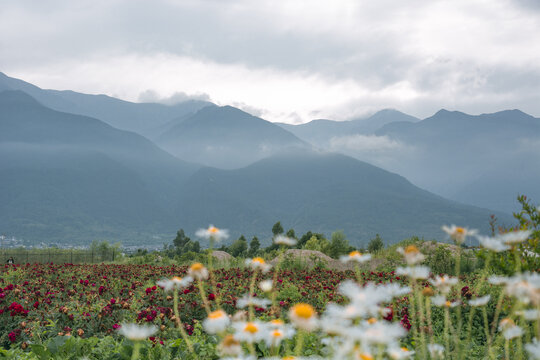 远望苍山