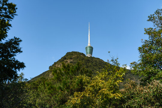 远眺深圳市小梧桐山顶