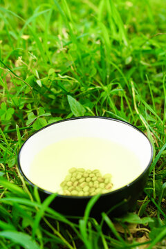 夏至绿茶
